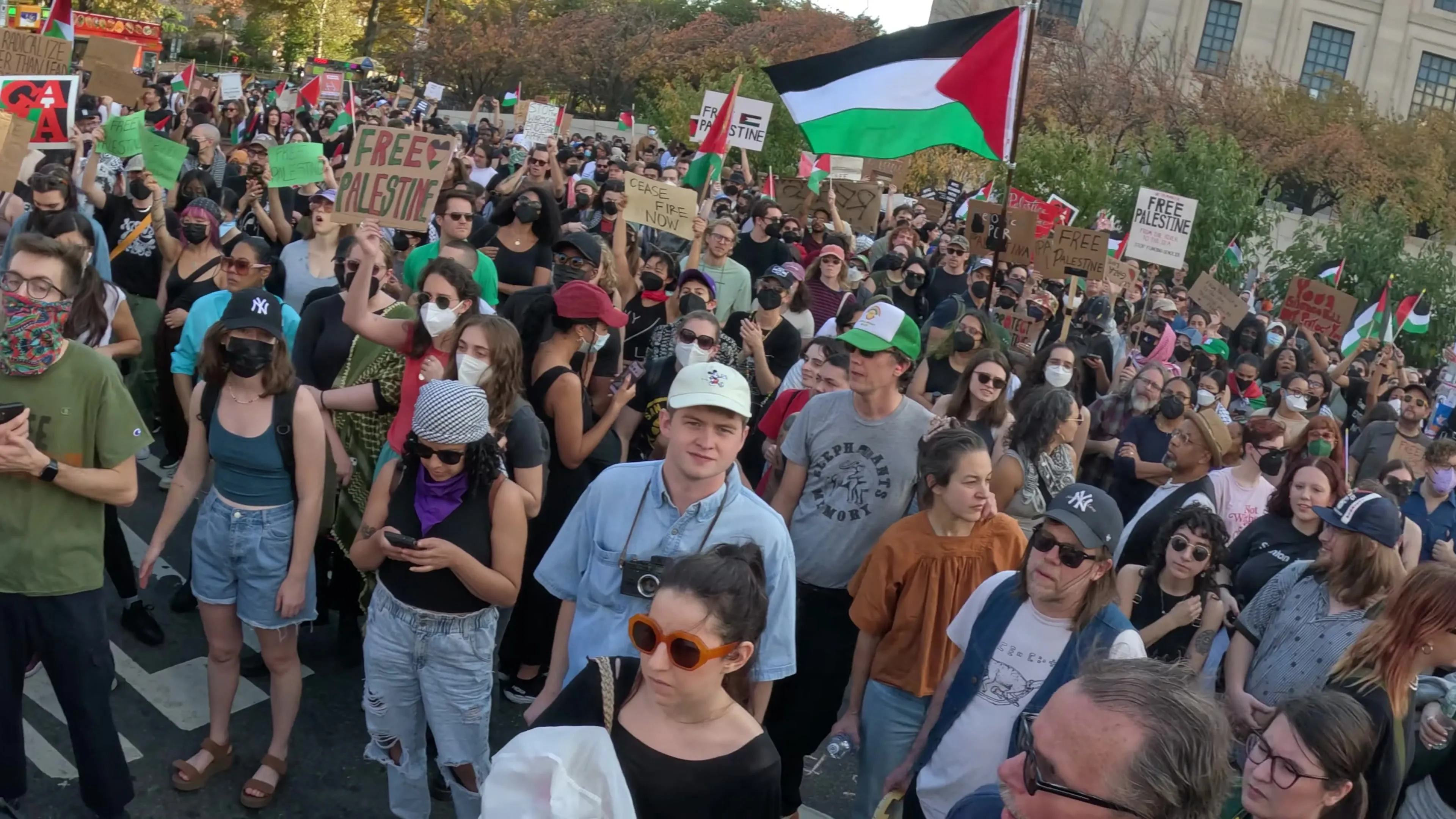 Chandler evans__youtube